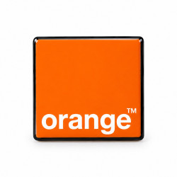 Le pin's master logo
