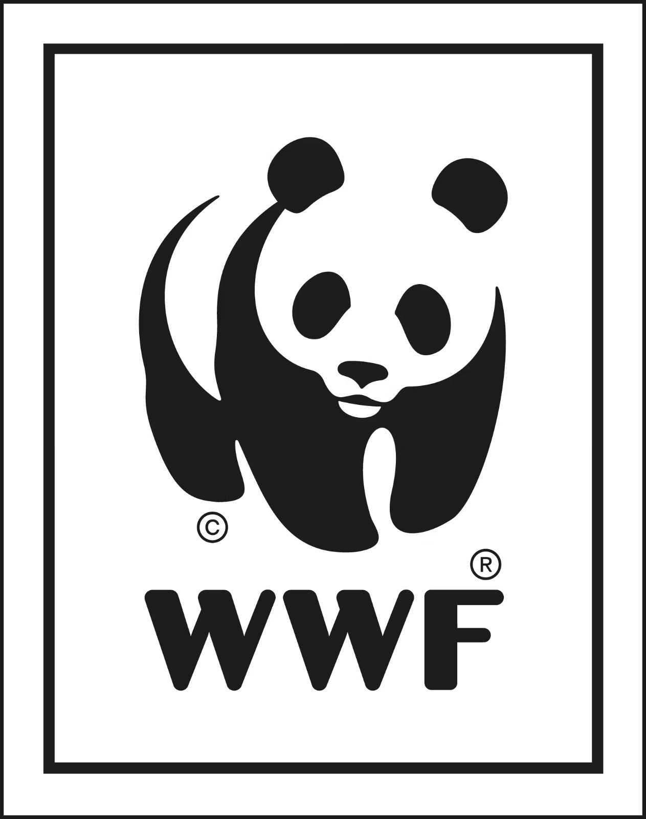 bwf